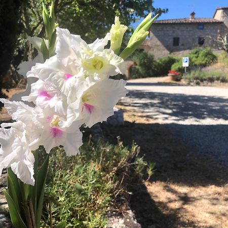 Agriturismo Malpensata Рада ин Шанти Экстерьер фото