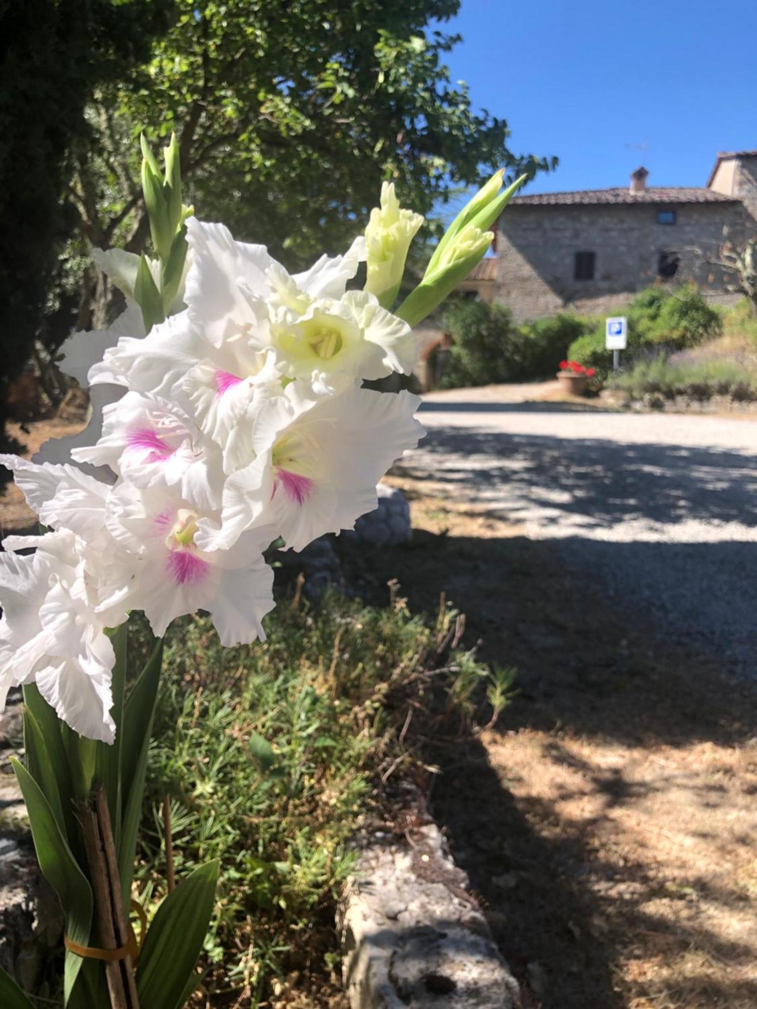 Agriturismo Malpensata Рада ин Шанти Экстерьер фото